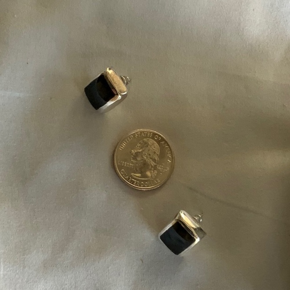 Sterling Silver and Black Onyx Earrings